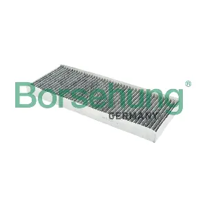Borsehung B12817