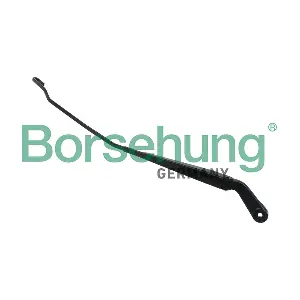 B11463 Borsehung