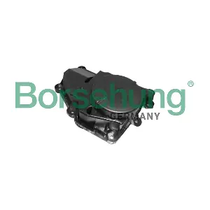 B11918 Borsehung
