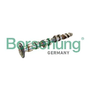 B11314 Borsehung