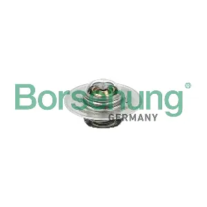 B18280 Borsehung