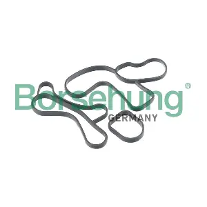 Borsehung B12530