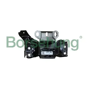 B10987 Borsehung