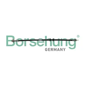 B10948 Borsehung