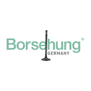 Borsehung B19006