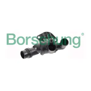 B18292 Borsehung