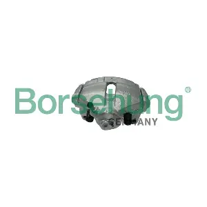 B11370 Borsehung