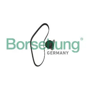 B12362 Borsehung