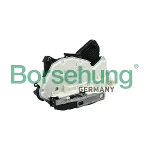 B18647 Borsehung