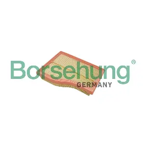 B13056 Borsehung