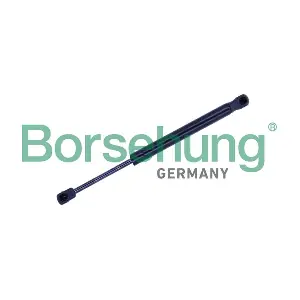Borsehung B12473
