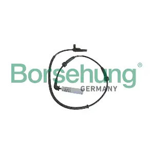 B12259 Borsehung
