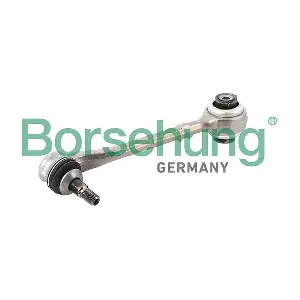 B12550 Borsehung