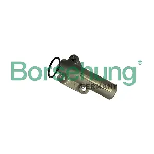 B12944 Borsehung