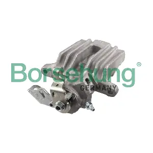 B11679 Borsehung