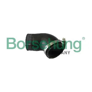 Borsehung B11973