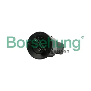 B17999 Borsehung
