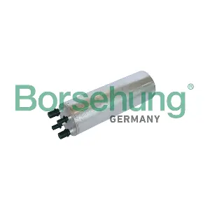 B10485 Borsehung