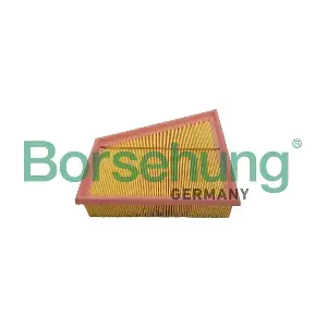 Borsehung B12359