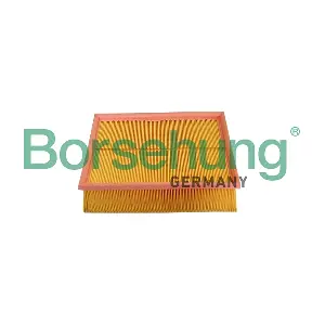 Borsehung B10545