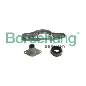 B10915 Borsehung