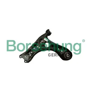 B10865 Borsehung