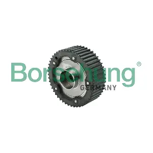 Borsehung B17948