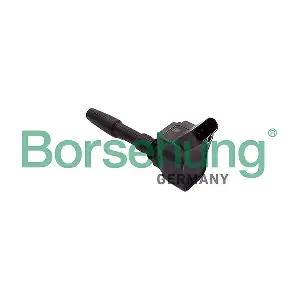 Borsehung B10693