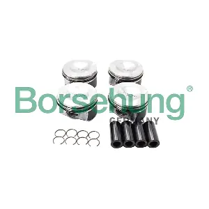 Borsehung B18741