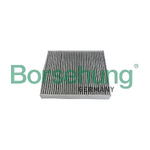 B10534 Borsehung