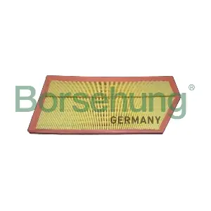B12447 Borsehung