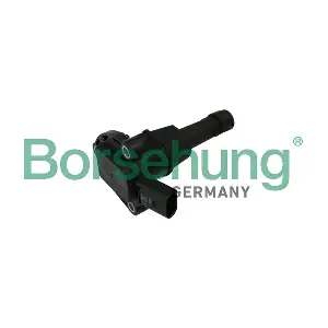 Borsehung B11841