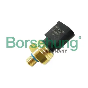 B18537 Borsehung