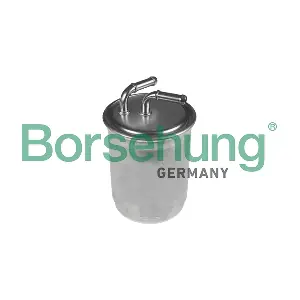 B10475 Borsehung
