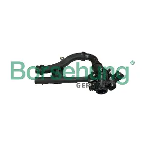 B10566 Borsehung