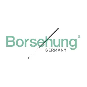 B12060 Borsehung