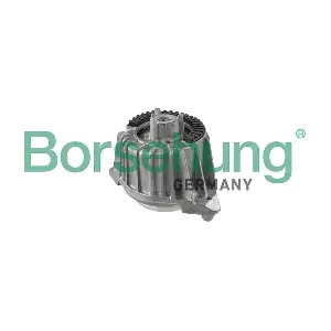 B10998 Borsehung