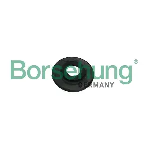 Borsehung B18186