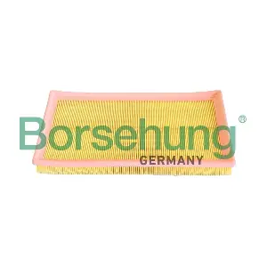 B12293 Borsehung