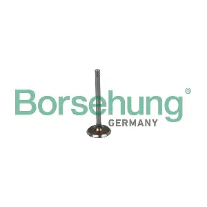 B19030 Borsehung