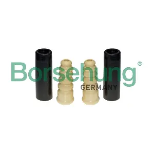 B10022 Borsehung