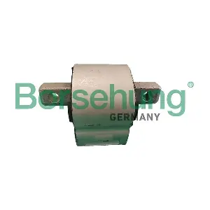 B12658 Borsehung