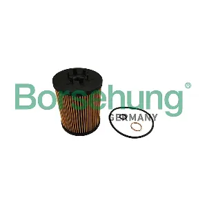 B10464 Borsehung
