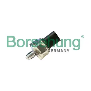 B11869 Borsehung