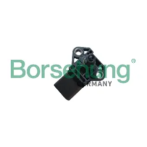 B12936 Borsehung