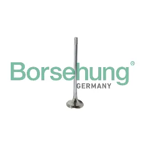 Borsehung B10321