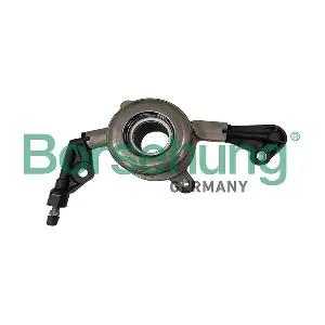 B12717 Borsehung