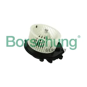 B14595 Borsehung