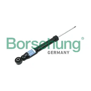 B17890 Borsehung