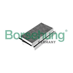 B12856 Borsehung